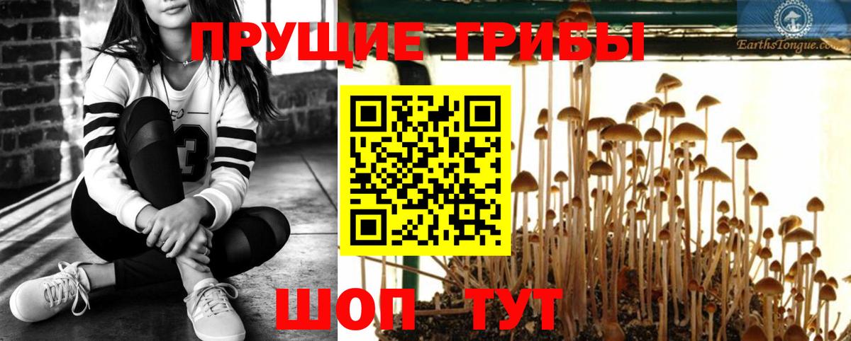 Галлюциногенные грибы прущие грибы Россошь