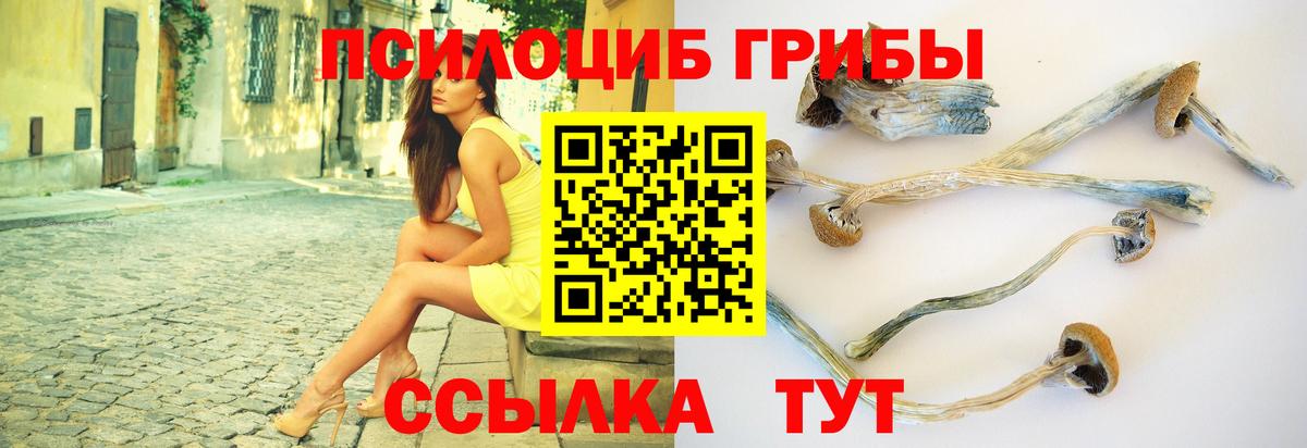 Россошь  Псилоцибиновые грибы Psilocybe  Галлюциногенные грибы прущие грибы  цена   Вход с VPN 